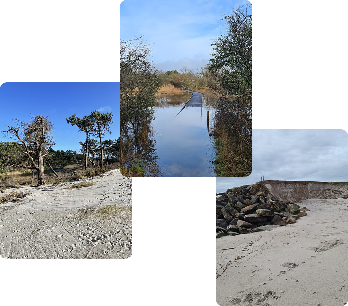 3 photos de mon environnement de course